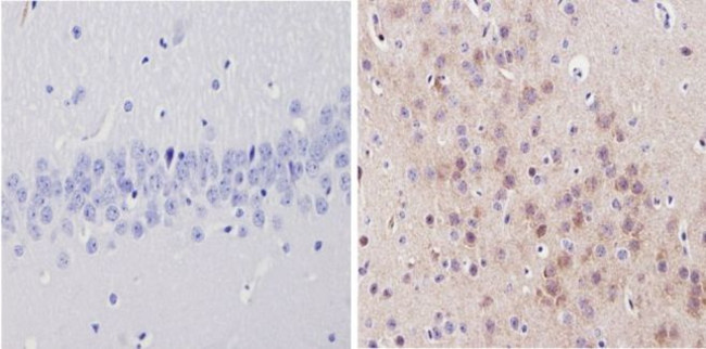 Валидация AssayVector ARM1162(452)