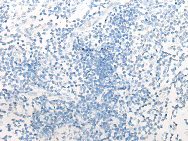 Валидация AssayVector ARM1734(2086)