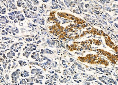 Валидация Affinity DF8967 - 21150