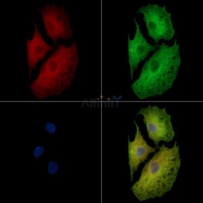 Валидация Affinity DF14024 - 9787