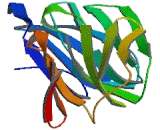 Phospholipase A2 Activating Protein (PLAA)