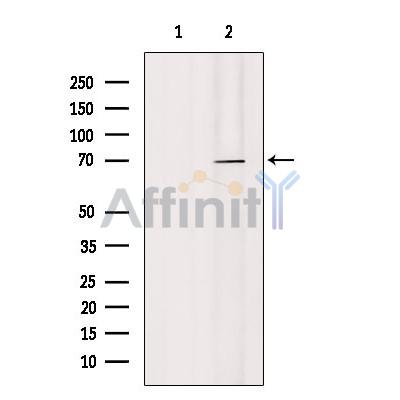 Валидация Affinity AF6332 - 3604
