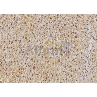 Валидация Affinity DF6233 - 17516