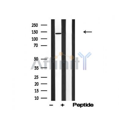 Валидация Affinity AF4790 - 2409