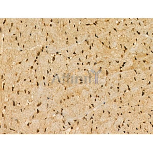 Валидация Affinity DF3233 - 14069