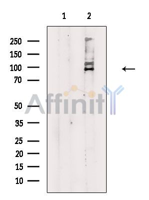 Валидация Affinity DF4475 - 16006