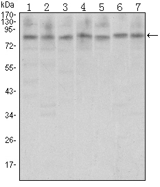 Валидация Affinity BF0501 - 5282