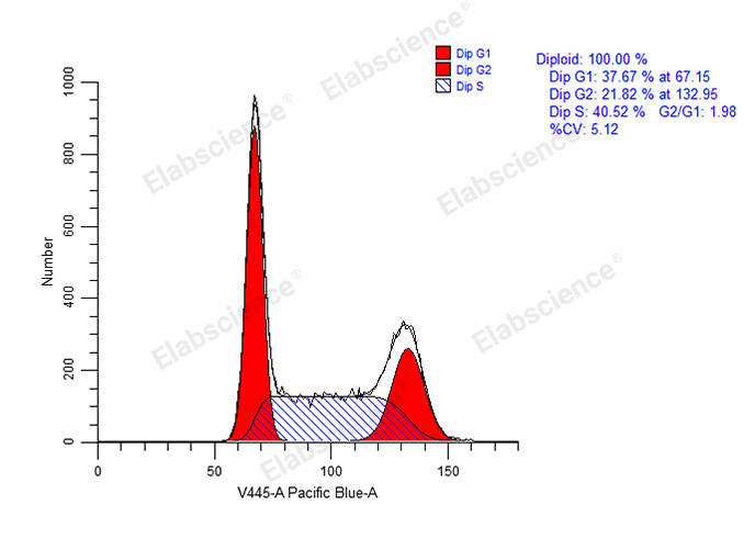 Валидация Elabscience E-CK-A353 - 115