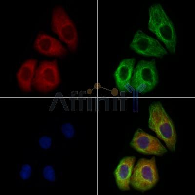 Валидация Affinity DF3668 - 14673