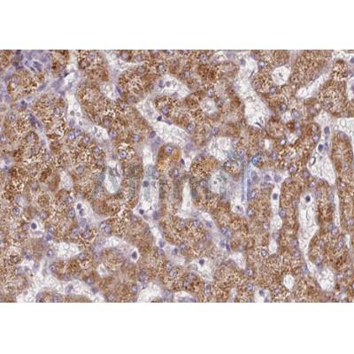 Валидация Affinity DF7089 - 18736