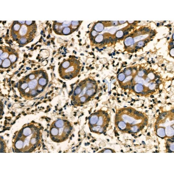 Валидация Affinity DF3031 - 13762