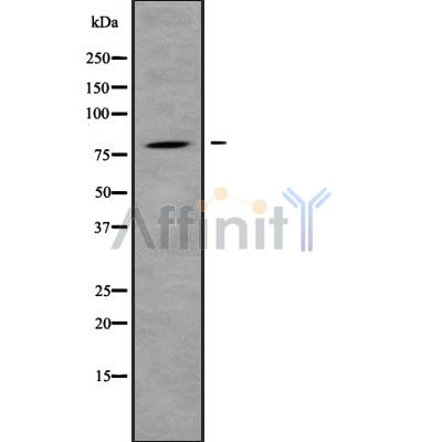 Валидация Affinity DF10114 - 5622