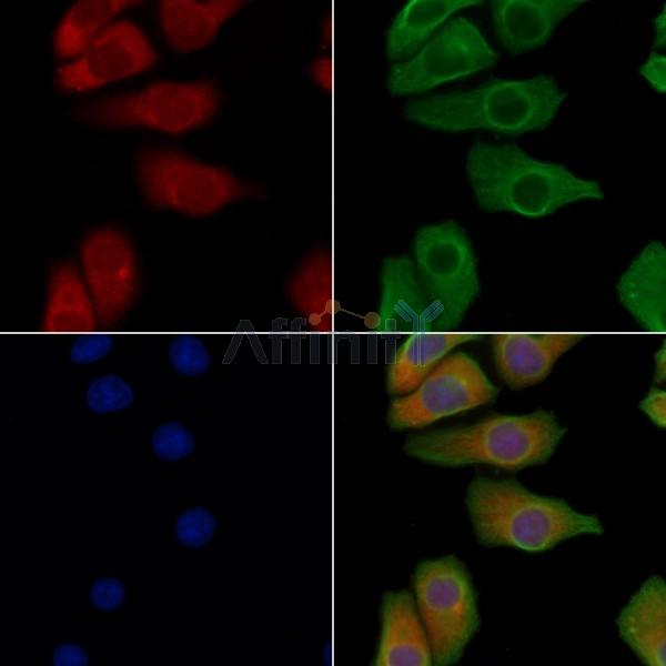 Валидация Affinity DF10350 - 5974