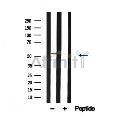 Валидация Affinity AF4614 - 2226