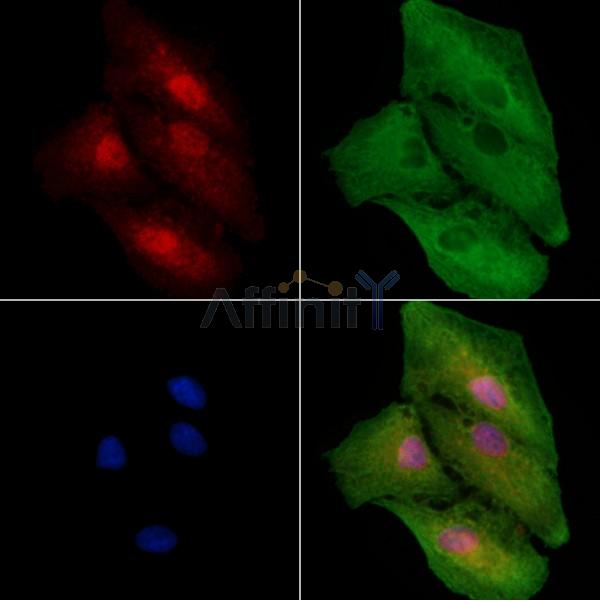 Валидация Affinity DF2608 - 13298