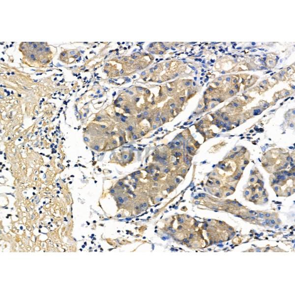 Валидация Affinity DF6131 - 17359