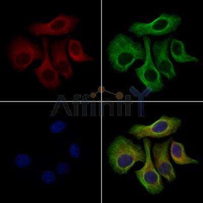 Валидация Affinity DF13470 - 8827