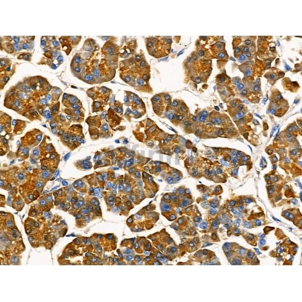 Валидация Affinity DF6316 - 17643