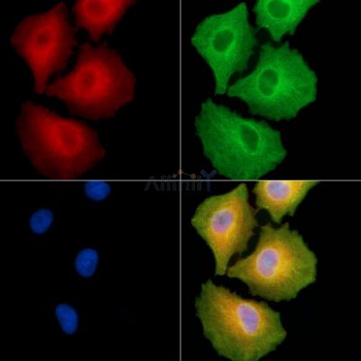 Валидация Affinity DF9749 - 22566