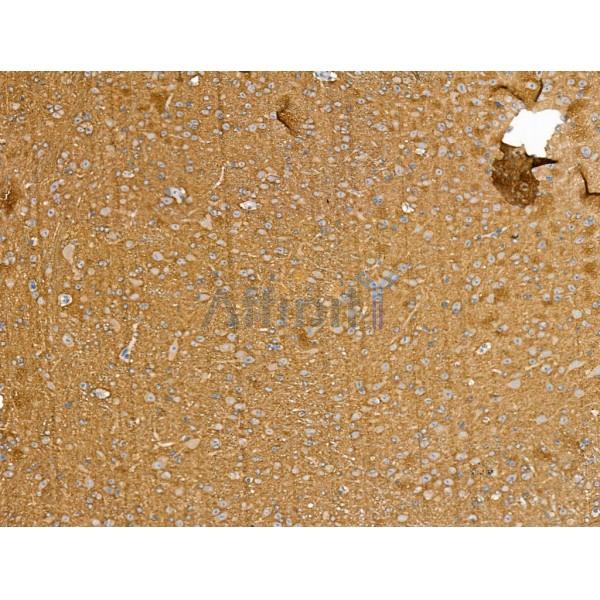 Валидация Affinity DF13258 - 8336