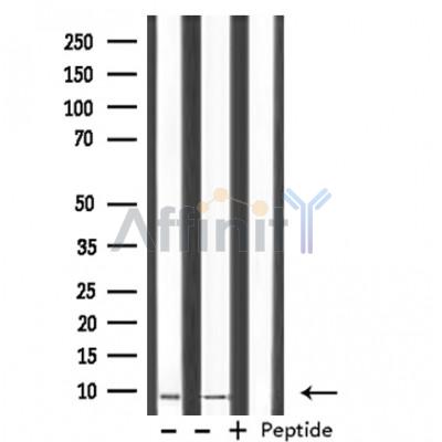 Валидация Affinity DF3070 - 13805