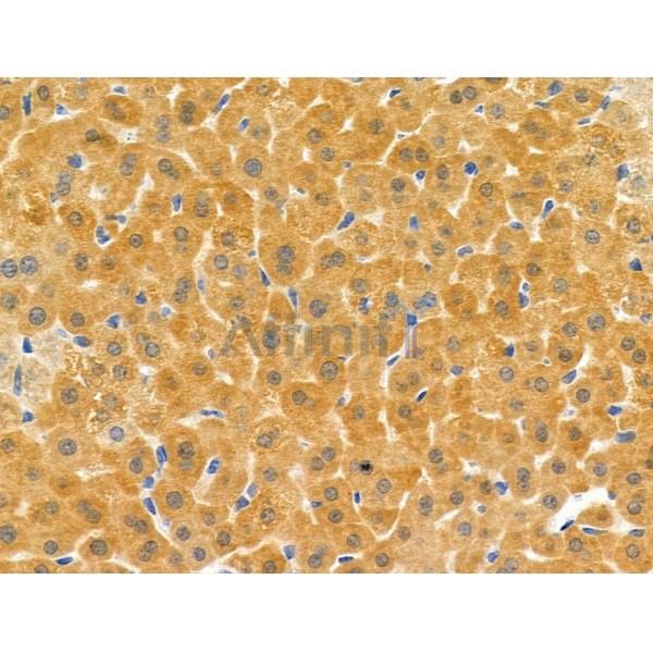 Валидация Affinity DF6264 - 17557