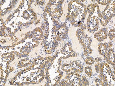 Валидация Affinity DF14650 - 10688