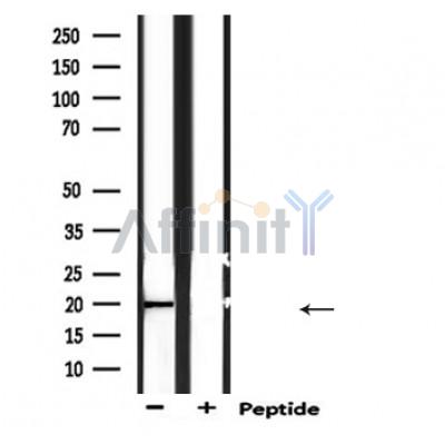Валидация Affinity DF6236 - 17519
