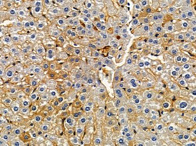 Валидация Affinity DF13125 - 8046