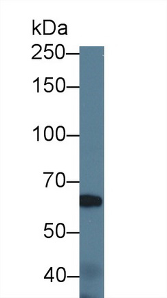 12430