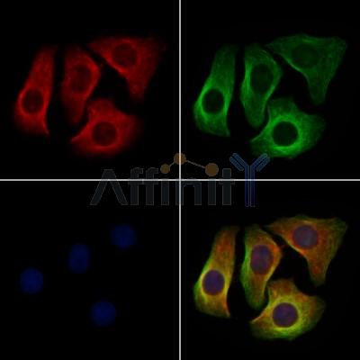 Валидация Affinity AF7716 - 4409