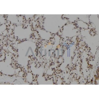 Валидация Affinity DF6110 - 17326