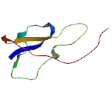 Thyroid Hormone Receptor Associated Protein 2 (THRAP2) Thyroid Hormone Receptor Associated Protein 2 (THRAP2)