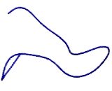 G Protein Coupled Receptor 137 (GPR137) G Protein Coupled Receptor 137 (GPR137)