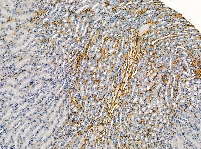 Валидация Affinity DF14144 - 9947