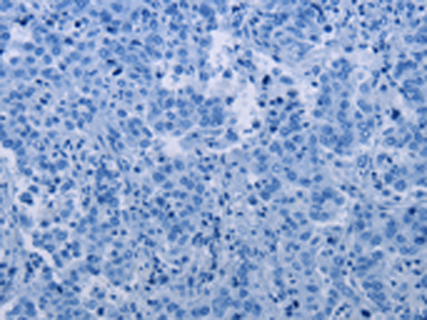 Валидация AssayVector ARM1129(365)