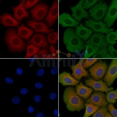 Валидация Affinity DF3688 - 14710