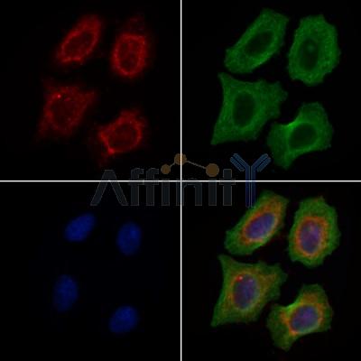 Валидация Affinity DF9603 - 22307