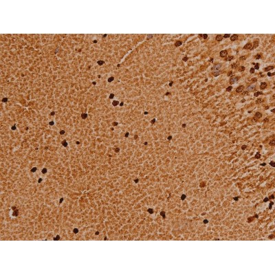 Валидация Affinity DF6717 - 18241