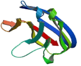 Sialic Acid Binding Ig Like Lectin 8 (SIGLEC8) Sialic Acid Binding Ig Like Lectin 8 (SIGLEC8)