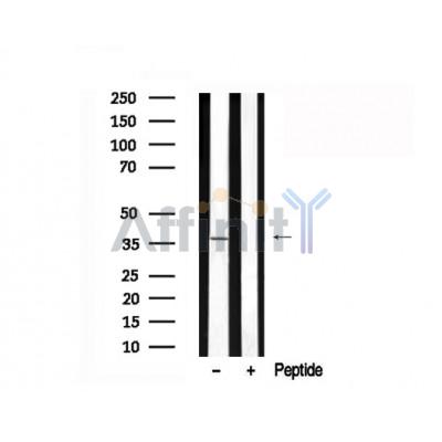 Валидация Affinity AF7586 - 4252