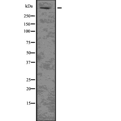 Валидация Affinity DF7663 - 19430
