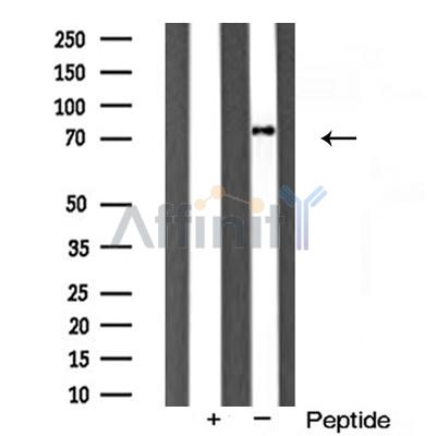 Валидация Affinity AF5230 - 2706