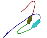 Folate Receptor 4 (FOLR4) Folate Receptor 4 (FOLR4)