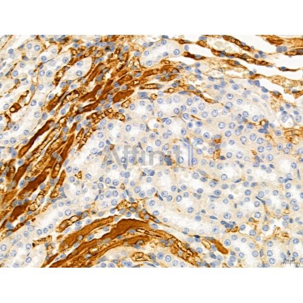 Валидация Affinity DF12131 - 6293