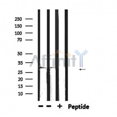 Валидация Affinity DF6003 - 17222