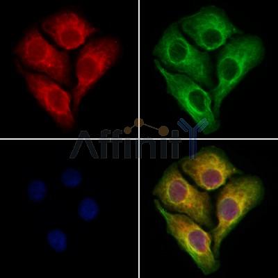 Валидация Affinity DF12226 - 6514