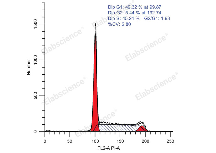 Валидация Elabscience E-CK-A351 - 113