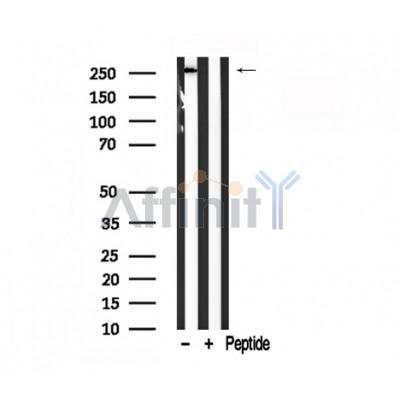 Валидация Affinity AF7772 - 4480
