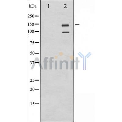 Валидация Affinity AF6124 - 3340